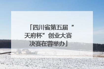 四川省第五届“天府杯”创业大赛决赛在蓉举办