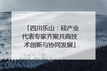 四川乐山：硅产业代表专家齐聚共商技术创新与协同发展