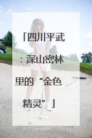 四川平武：深山密林里的“金色精灵”