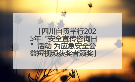 四川自贡举行2025年“安全宣传咨询日”活动 为应急安全公益短视频获奖者颁奖