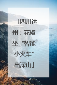 四川达州：花椒坐“智能小火车”出深山