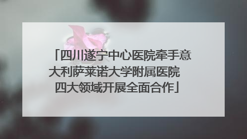 四川遂宁中心医院牵手意大利萨莱诺大学附属医院 四大领域开展全面合作