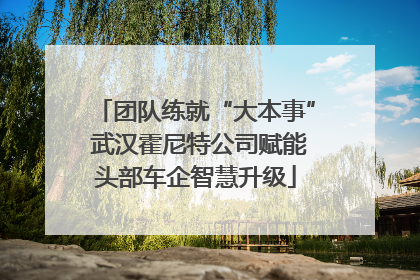 团队练就“大本事” 武汉霍尼特公司赋能头部车企智慧升级