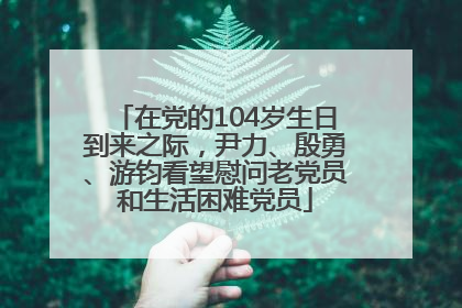 在党的104岁生日到来之际，尹力、殷勇、游钧看望慰问老党员和生活困难党员