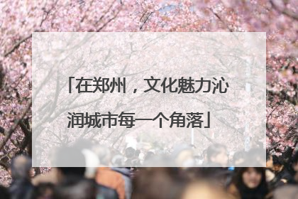 在郑州，文化魅力沁润城市每一个角落
