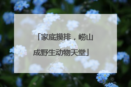 家底摸排，崂山成野生动物天堂