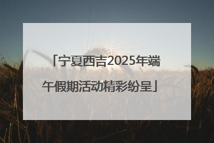 宁夏西吉2025年端午假期活动精彩纷呈