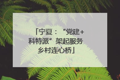宁夏：“党建+科特派”架起服务乡村连心桥