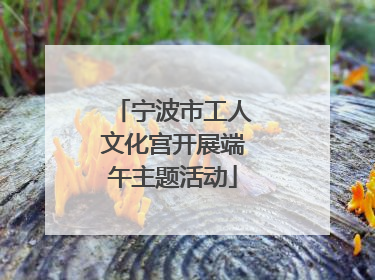 宁波市工人文化宫开展端午主题活动