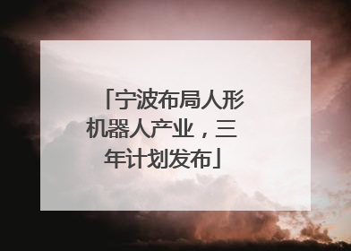 宁波布局人形机器人产业，三年计划发布