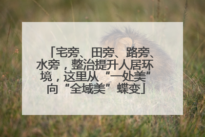 宅旁、田旁、路旁、水旁，整治提升人居环境，这里从“一处美”向“全域美”蝶变