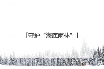 守护“海底雨林”