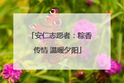 安仁志愿者：粽香传情 温暖夕阳