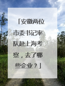 安徽两位市委书记率队赴上海考察，去了哪些企业？