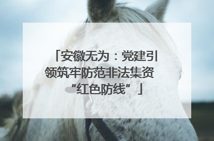 安徽无为：党建引领筑牢防范非法集资“红色防线”