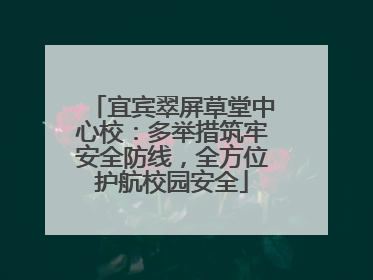 宜宾翠屏草堂中心校：多举措筑牢安全防线，全方位护航校园安全