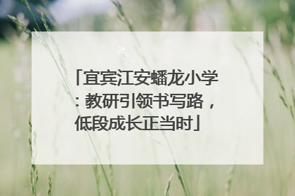 宜宾江安蟠龙小学：教研引领书写路，低段成长正当时