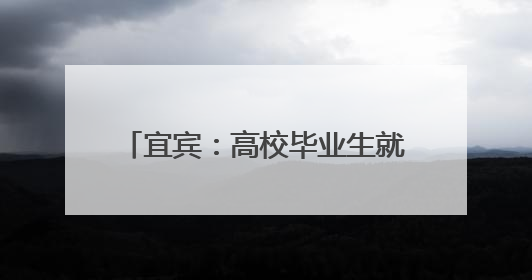 宜宾：高校毕业生就业去向落实率连续三年居全省第一梯队