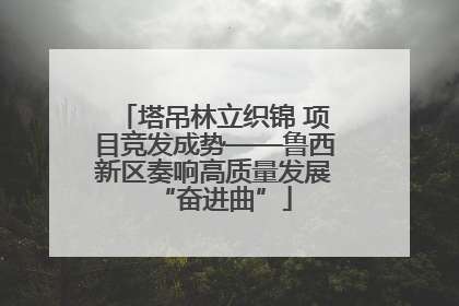 塔吊林立织锦 项目竞发成势——鲁西新区奏响高质量发展“奋进曲”