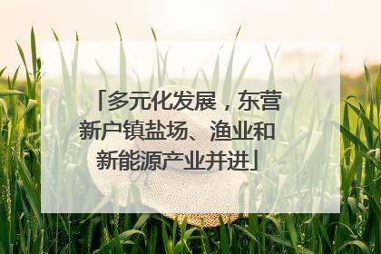 多元化发展，东营新户镇盐场、渔业和新能源产业并进