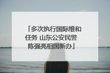 多次执行国际维和任务 山东公安民警陈强亮相国新办
