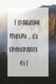 多频道网络机构，自律他律都得有