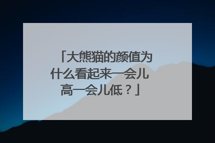 大熊猫的颜值为什么看起来一会儿高一会儿低？