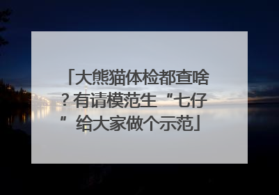 大熊猫体检都查啥？有请模范生“七仔”给大家做个示范