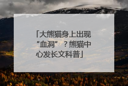 大熊猫身上出现“血洞”？熊猫中心发长文科普