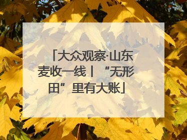 大众观察·山东麦收一线丨“无形田”里有大账