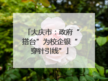 大庆市：政府“搭台”为校企银“穿针引线”