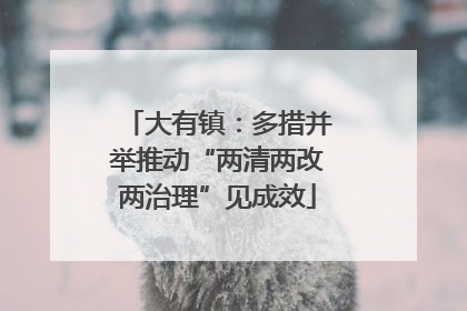 大有镇：多措并举推动“两清两改两治理”见成效