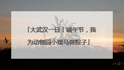 大武汉一日丨端午节，我为动物园小矮马做粽子