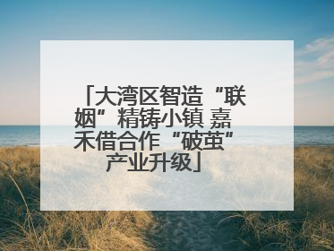 大湾区智造“联姻”精铸小镇 嘉禾借合作“破茧”产业升级