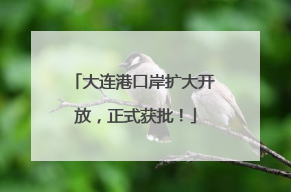 大连港口岸扩大开放，正式获批！