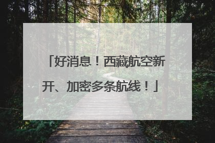 好消息！西藏航空新开、加密多条航线！