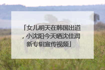 女儿明天在韩国出道，小沈阳今天晒沈佳润新专辑宣传视频