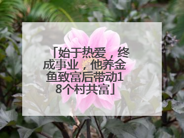 始于热爱，终成事业，他养金鱼致富后带动18个村共富