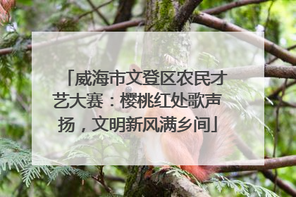 威海市文登区农民才艺大赛：樱桃红处歌声扬，文明新风满乡间
