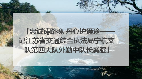 忠诚铸路魂 丹心护通途——记江苏省交通综合执法局宁杭支队第四大队外勤中队长奚强