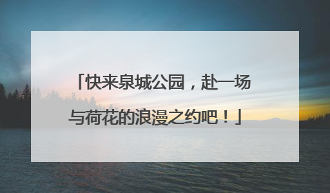 快来泉城公园，赴一场与荷花的浪漫之约吧！