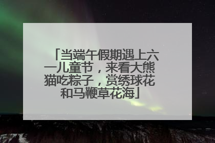 当端午假期遇上六一儿童节，来看大熊猫吃粽子，赏绣球花和马鞭草花海