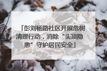 彭刘杨路社区开展危树清理行动，消除“头顶隐患”守护居民安全