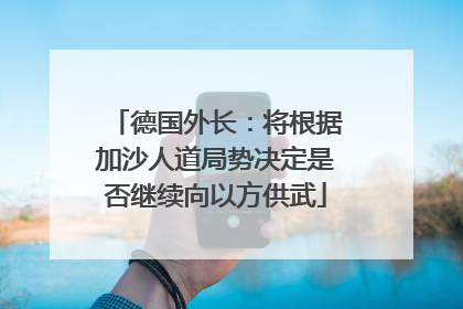 德国外长：将根据加沙人道局势决定是否继续向以方供武