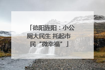 德阳旌阳：小公厕大民生 托起市民“微幸福”