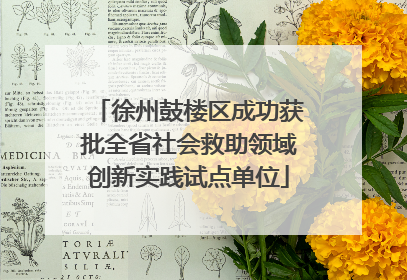 徐州鼓楼区成功获批全省社会救助领域创新实践试点单位