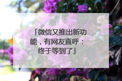 微信又推出新功能，有网友直呼：终于等到了