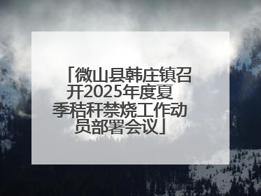 微山县韩庄镇召开2025年度夏季秸秆禁烧工作动员部署会议