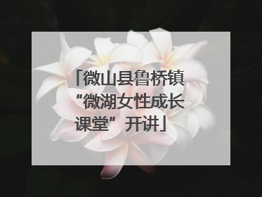 微山县鲁桥镇“微湖女性成长课堂”开讲