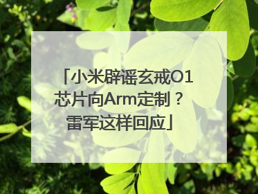 小米辟谣玄戒O1芯片向Arm定制？雷军这样回应
